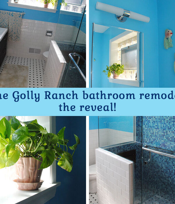 The Golly Ranch Bathroom Remodel