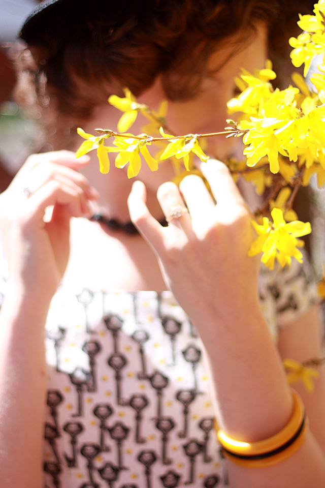 flowers and soft focus