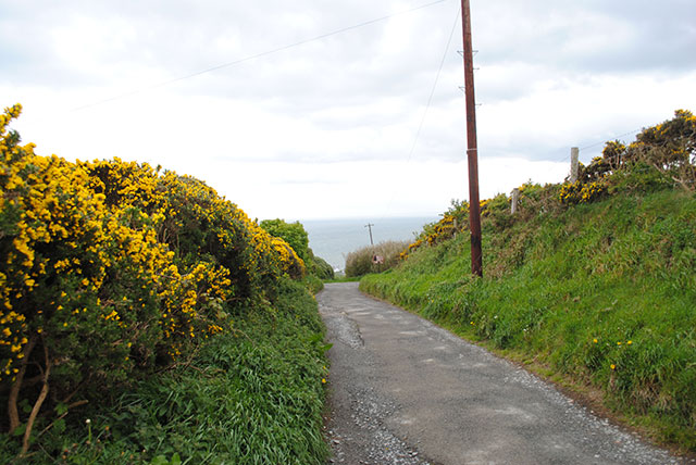cliff road to Howth Head overlook